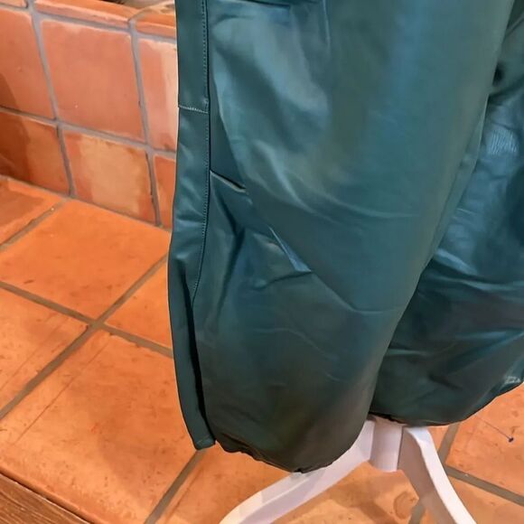 Pilcro for Anthropologie Dark Green Faux Leather Soft Parachute Pants, LP! - Picture 5 of 10